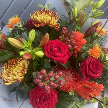 Autumn Burst