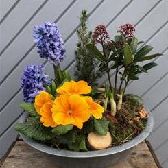 Moira's Spring Planter