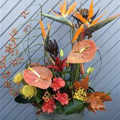 Moira&#39;s Designers Autumn Arrangement