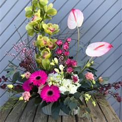 Moira&#39;s Choice Designer Arrangement