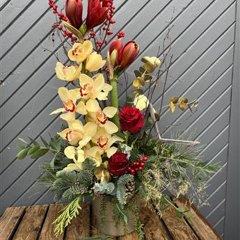 Moira&#39;s Festive Arrangement