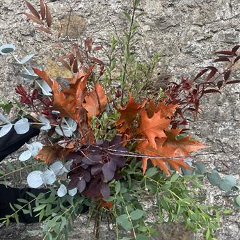 Autumn Foliage Bunch 