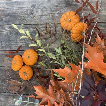 Autumn Styling Bundle