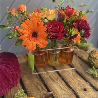 Autumnal Glow Trio