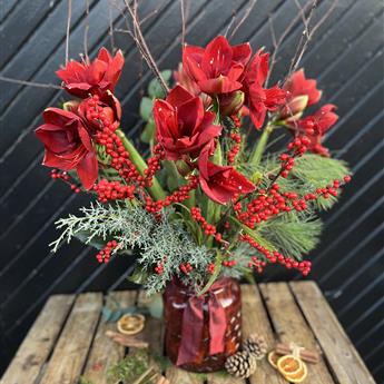 Red Amaryllis Vase 