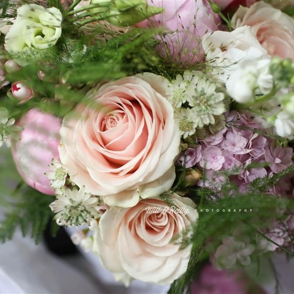 Blush Pink Tones
