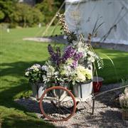 Summer Garden Marquee
